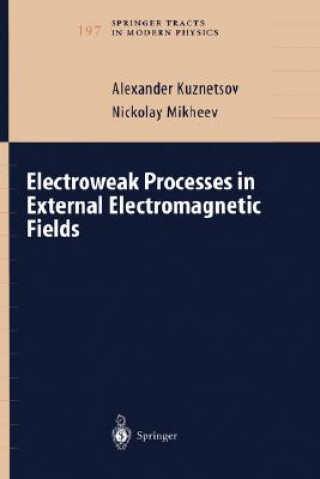 Electroweak Processes in External Electromagnetic Fields
