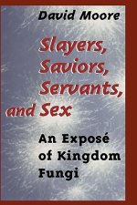 Slayers, Saviors, Servants and Sex