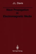 Wave Propagation in Electromagnetic Media
