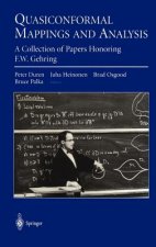 Quasiconformal Mappings and Analysis