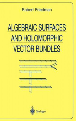 Algebraic Surfaces and Holomorphic Vector Bundles