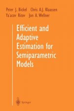 Efficient and Adaptive Estimation for Semiparametric Models