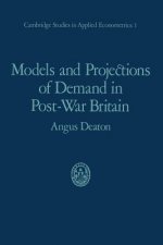Models and Projections of Demand in Post-War Britain
