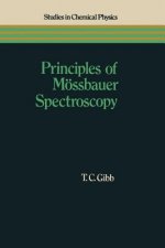 Principles of Moessbauer Spectroscopy
