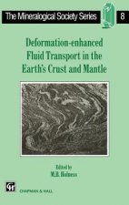 Deformation-enhanced Fluid Transport in the Earth's Crust and Mantle