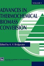 Advances in Thermochemical Biomass Conversion, 3 Pts.