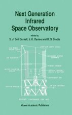 Next Generation Infrared Space Observatory
