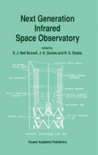 Next Generation Infrared Space Observatory