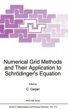 Numerical Grid Methods and Their Application to Schrödinger's Equation