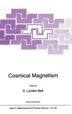 Cosmical Magnetism