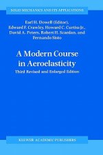 Modern Course in Aeroelasticity