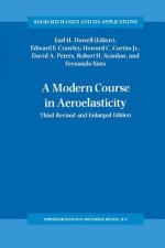 Modern Course in Aeroelasticity