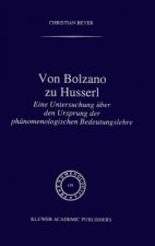 Von Bolzano zu Husserl