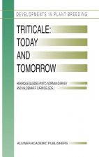 Triticale: Today and Tomorrow