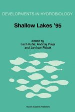 Shallow Lakes '95