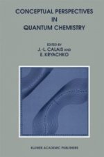 Conceptual Perspectives in Quantum Chemistry
