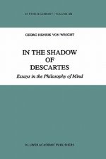 In the Shadow of Descartes