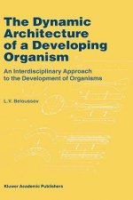 Dynamic Architecture of a Developing Organism