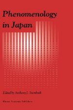 Phenomenology in Japan