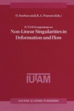 IUTAM Symposium on Non-Linear Singularities in Deformation and Flow