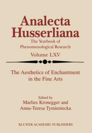 Aesthetics of Enchantment in the Fine Arts