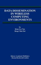 Data Dissemination in Wireless Computing Environments