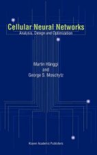 Cellular Neural Networks
