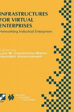 Infrastructures for Virtual Enterprises