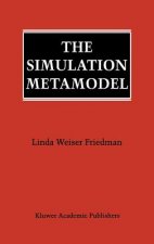 Simulation Metamodel