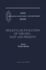 Molecular Evolution of Viruses - Past and Present