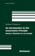 An Introduction to the Uncertainty Principle