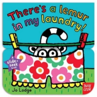 Slide and Seek: There's a Lemur in my Laundry