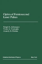Optics of Femtosecond Laser Pulses