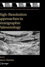 High-Resolution Approaches in Stratigraphic Paleontology