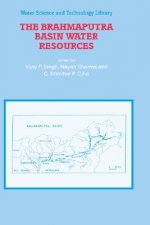 Brahmaputra Basin Water Resources