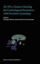3K, SN's, Clusters: Hunting the Cosmological Parameters with Precision Cosmology