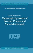 IUTAM Symposium on Mesoscopic Dynamics of Fracture Process and Materials Strength