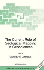 Current Role of Geological Mapping in Geosciences