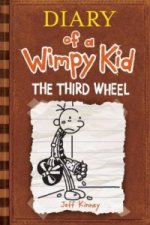 Diary of a Wimpy Kid # 7
