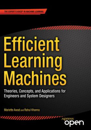 Efficient Learning Machines