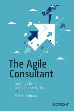 Agile Consultant