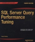 SQL Server Query Performance Tuning