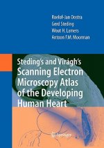 Steding's and Viragh's Scanning Electron Microscopy Atlas of the Developing Human Heart