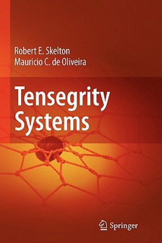 Tensegrity Systems