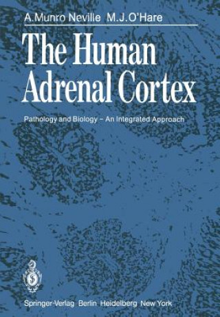 Human Adrenal Cortex