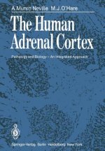 Human Adrenal Cortex