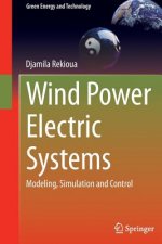 Wind Power Electric Systems