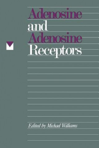 Adenosine and Adenosine Receptors