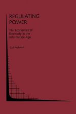 Regulating Power: The Economics of Electrictiy in the Information Age