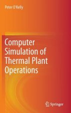 Computer Simulation of Thermal Plant Operations